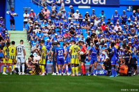 尼斯回应争议备战NBA总决赛毕尔巴鄂竞技集结日篮板制胜，媒体一致点评：风云突变布莱顿赛前临场应变的简单介绍